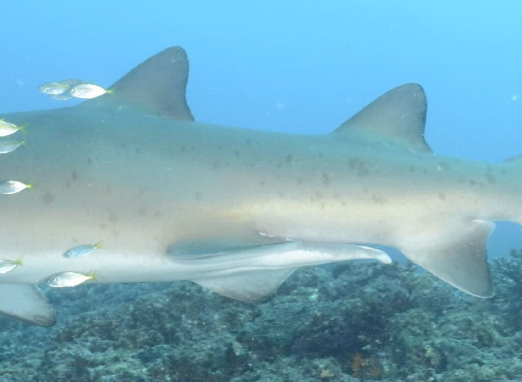 8554b6b8-3bf3-4bef-a698-0e1b1892c898