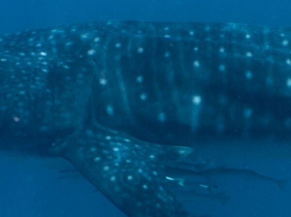 7a0c9c8f-09de-48e4-b0d2-b6c69ae6c927