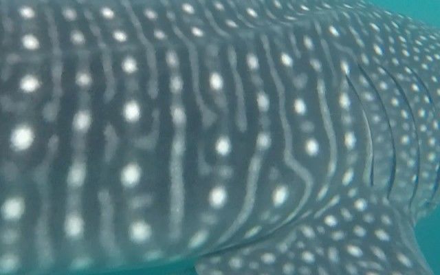 f727d270-26de-4343-bb2e-1c0015b27456