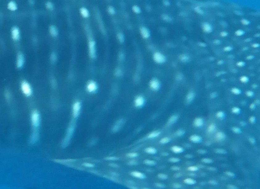 91ea6c66-fa61-42ea-917f-b435dd559ae6