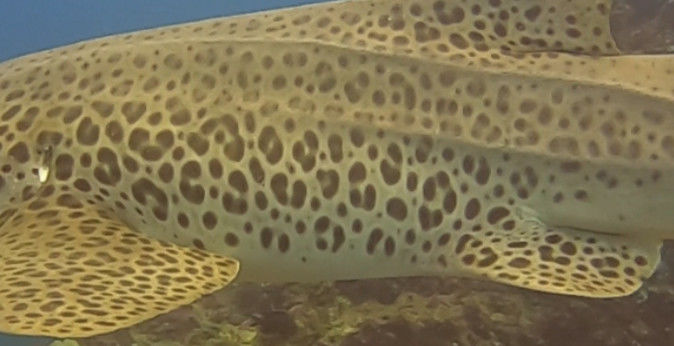 96d42ae0-070c-4441-9aa6-2c2a3b5422b9