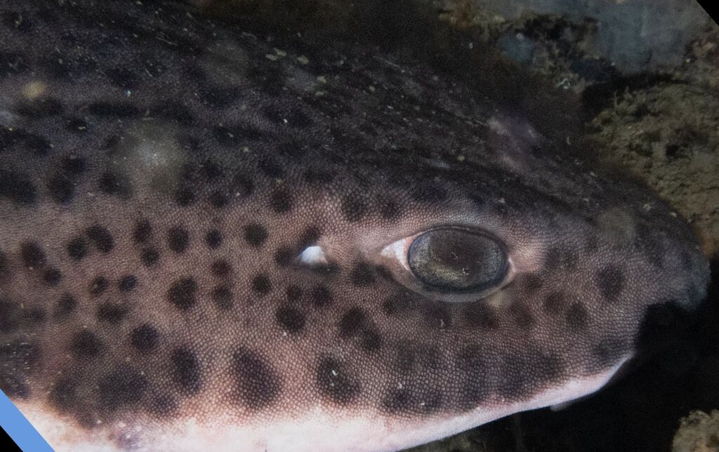 021b3d33-9215-4c67-98e3-5d4fe8a0878f