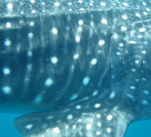 edbeaf5f-664f-408e-8ec8-eda6b0f065f2