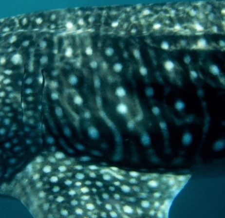 4087ad35-ec44-4729-87c5-faecb4e046d9