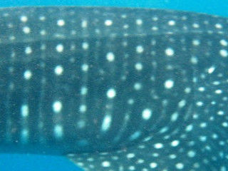 8d5566b7-0bc0-4e45-97cc-8dbd2aa9fc99