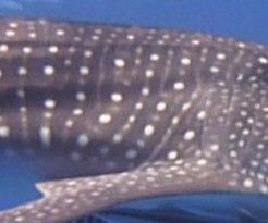 e8b5e764-39aa-4b67-b189-ad487725e442