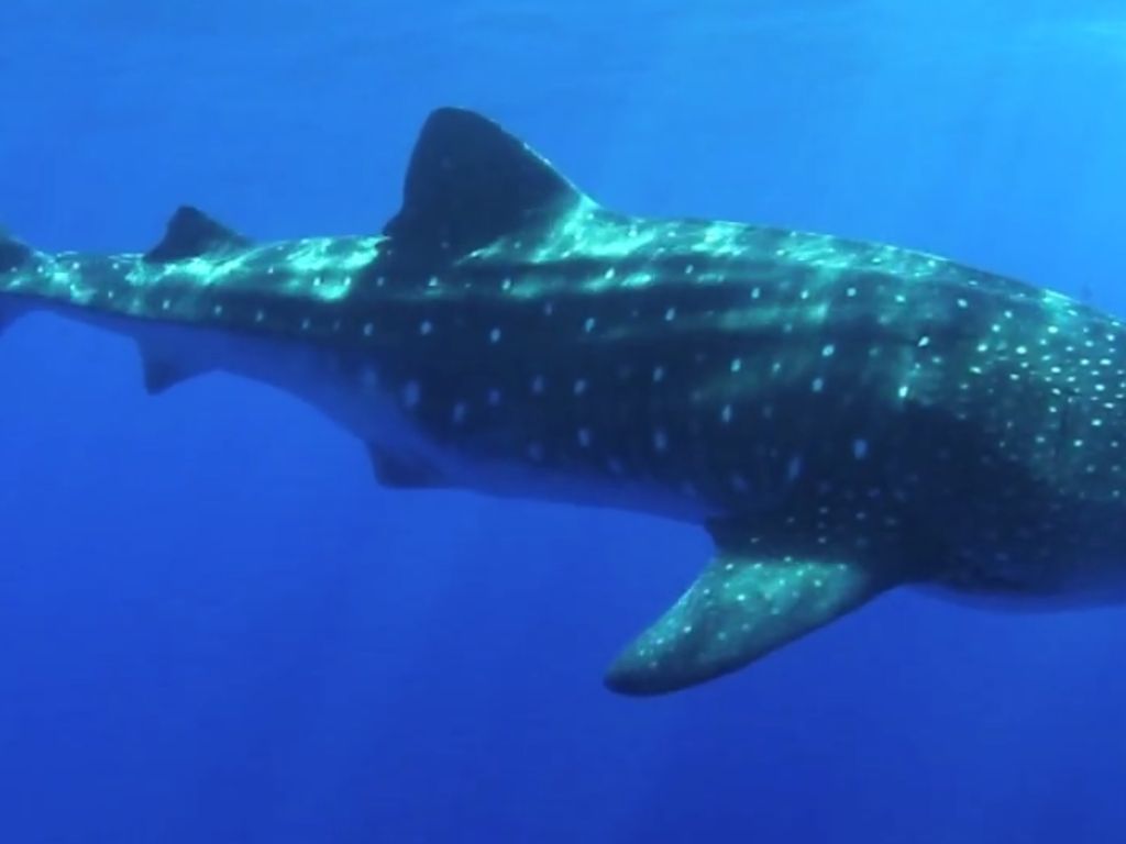 44bd01bc-006e-464d-95e3-14b8a0f7416d