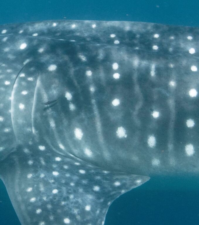 1735642b-1bf0-4ed0-a6fd-5168d83baf54