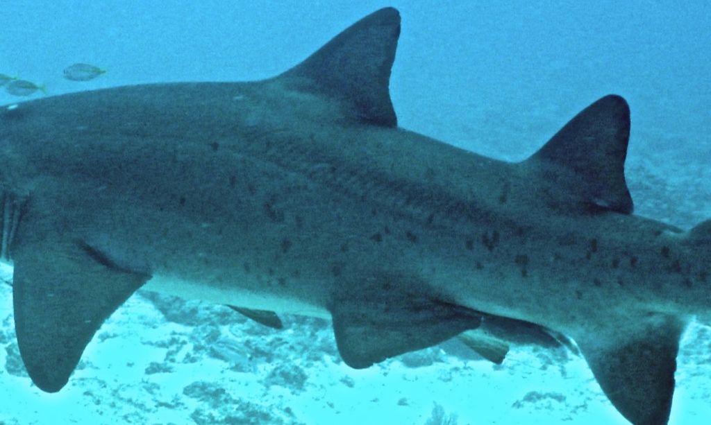 956bfdef-e55a-49b2-ac7d-90965da85bde