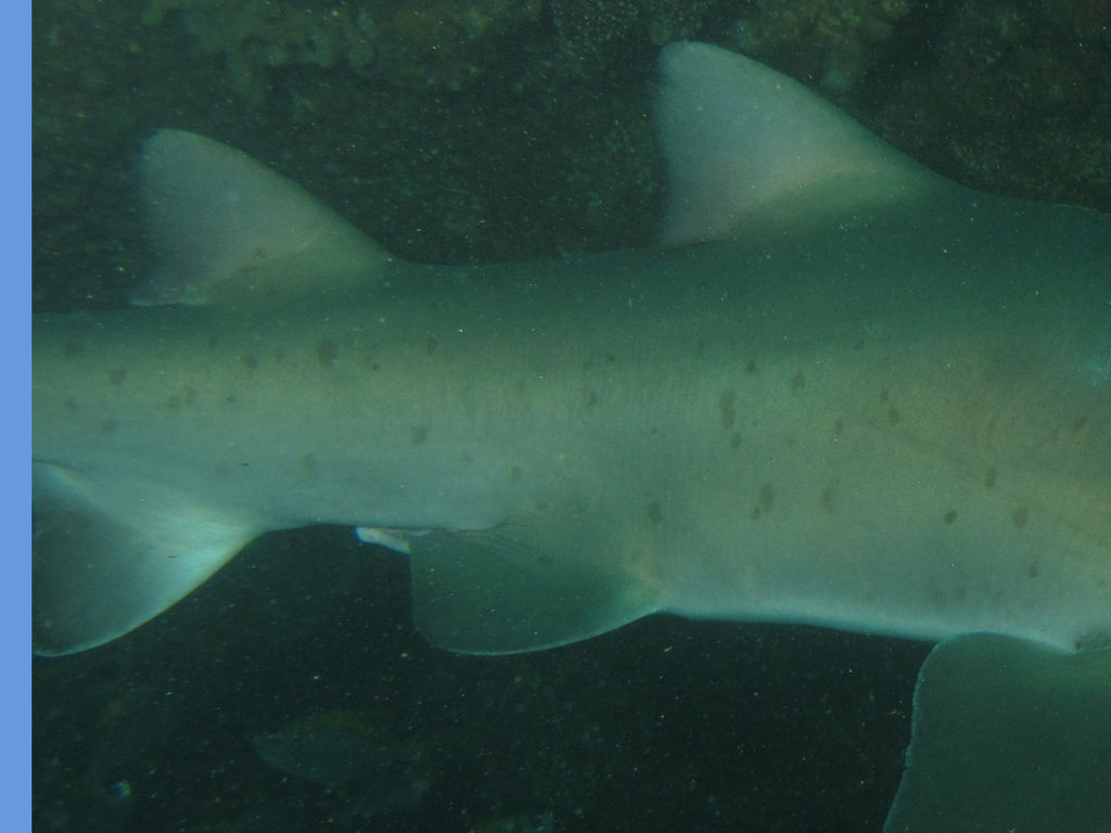 98f2d928-fc5a-4a1d-9291-864df94fc869