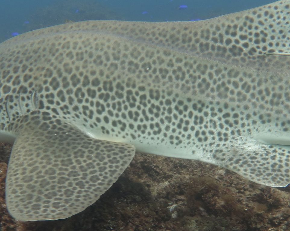 0eb781c5-6c96-4d43-ba33-faad11bc465f