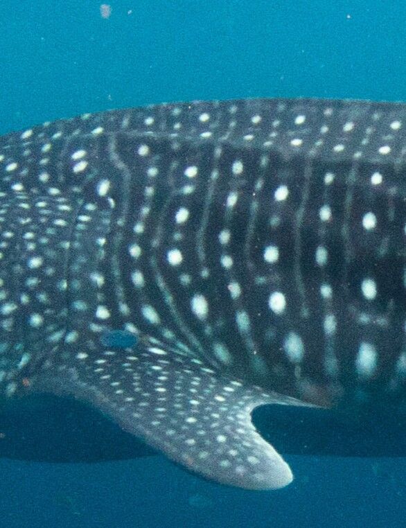 50020b70-60e5-4b21-8f04-3d3fa822ab0d