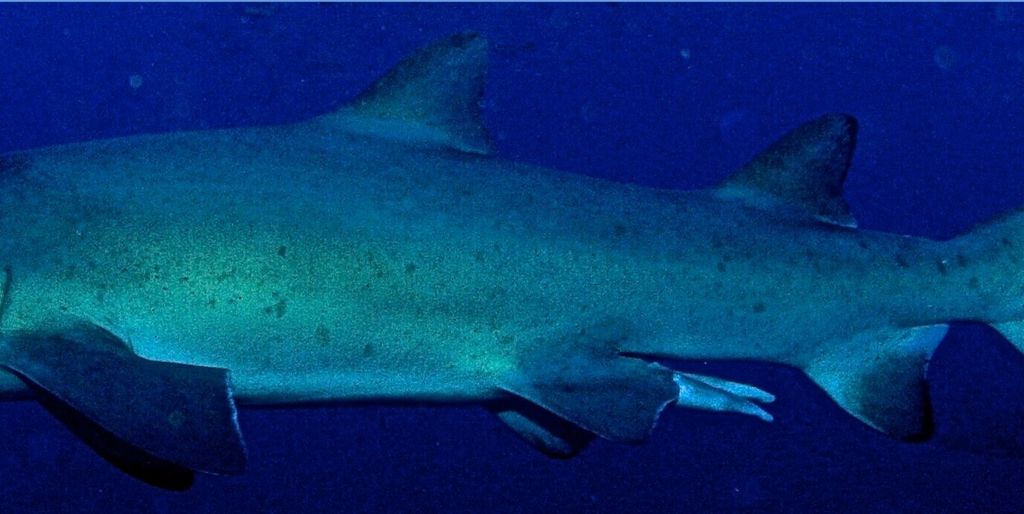 9d32898d-1cc2-4d34-80fa-2afe0441f94b