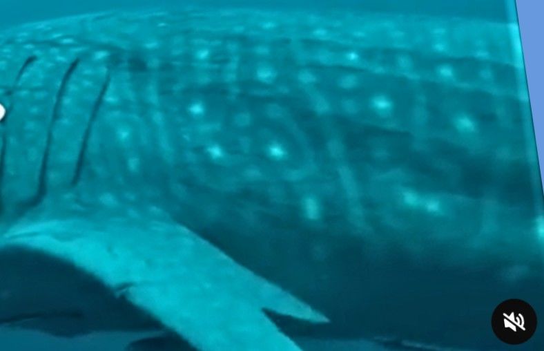 5b148832-8024-44c5-b1e4-a368865954b8