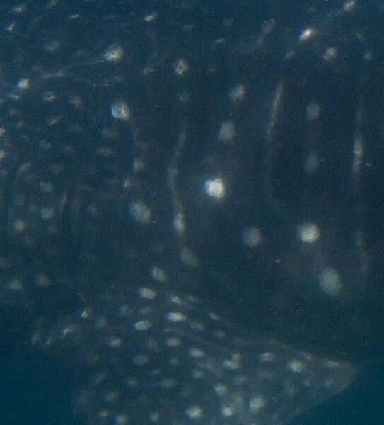 be68cd55-7d7d-41ac-9656-72de5185426b