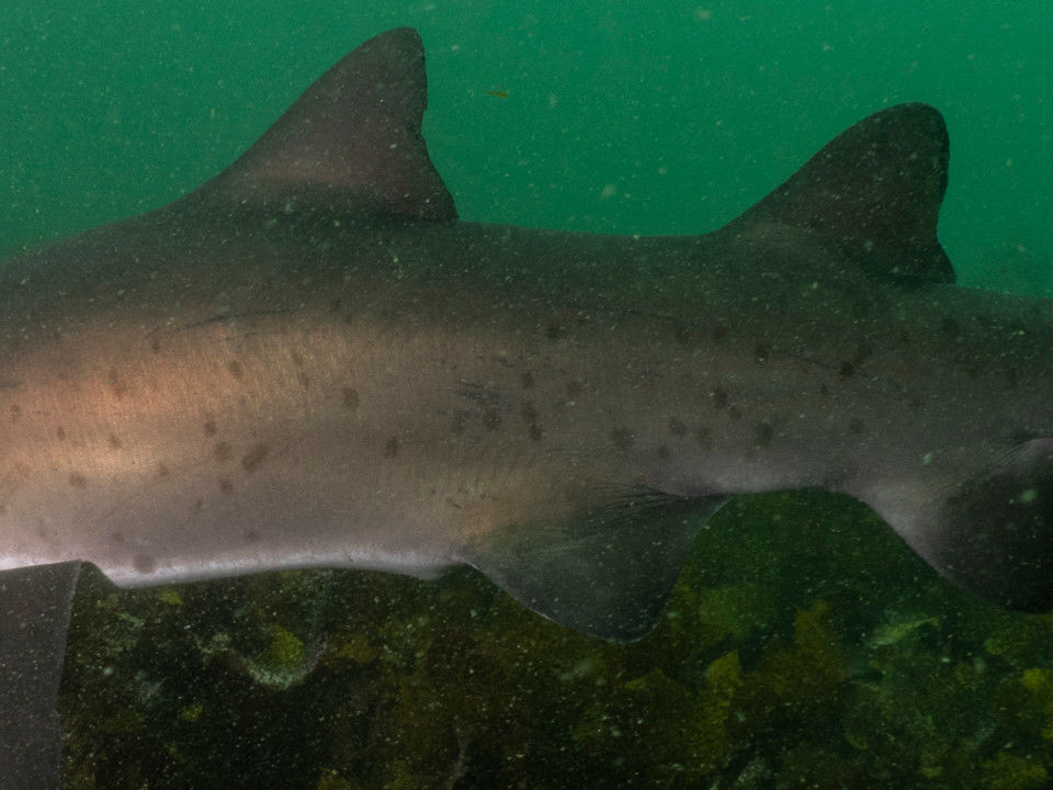 6dd7575e-a57a-4d00-bd97-6939a19645e5