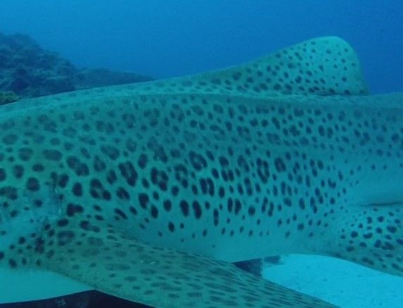 ec19e502-6bcf-479b-9c82-30ee8987fa96