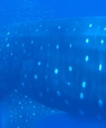 205313cb-7aee-4c4c-9713-89a1a9a86926