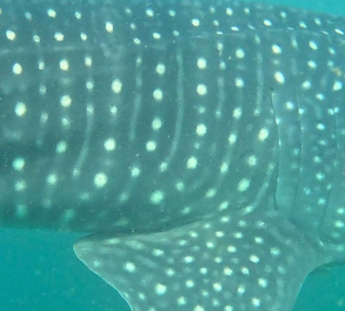 609548aa-ded9-4e81-8628-ef8e3a076fe3