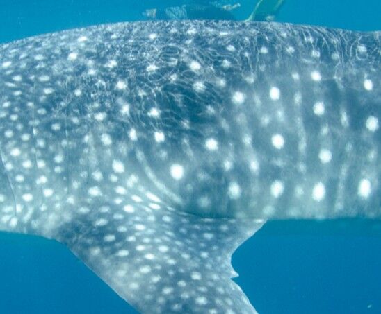 08410436-89be-4aca-876c-e0a05a05a8e2