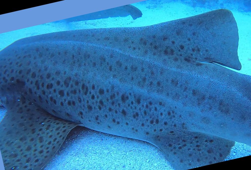 84bc55d0-b71f-4201-914f-e5893449a51e