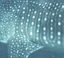 3fed9289-3e96-4abc-97dc-394dda1f49fa