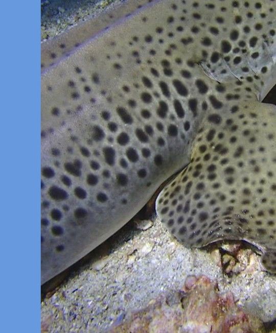 dbfdf809-256c-46f5-b79e-5b46e59baf15