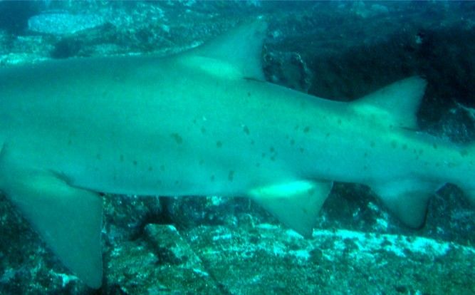 94a97a08-61f1-41f0-aab1-58122614a12e