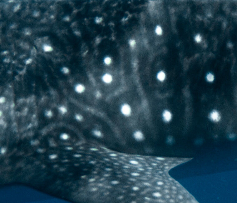 11888fbd-afdc-4706-a68f-28e5d2d8a575