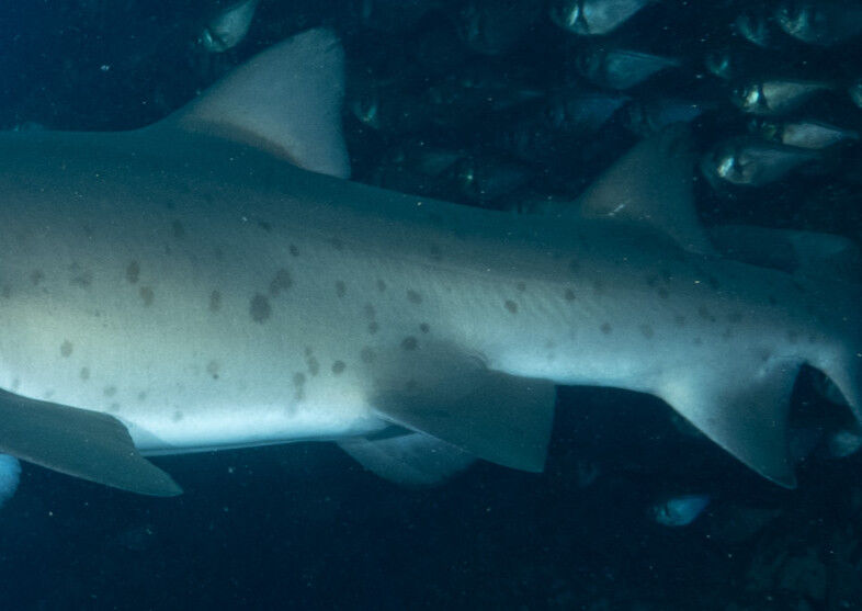 86288038-aaef-4318-ba15-1ba404348b18