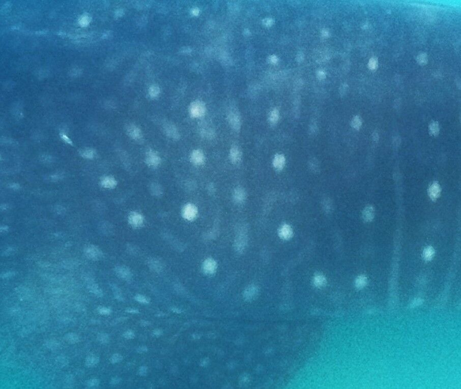 e909c2dd-12e2-4b5d-88f7-9e693dc25fdc