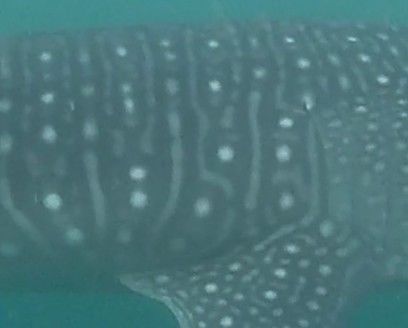 4ef3bcee-d903-4356-9cfc-5a56345f7595