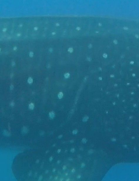 ea4003b1-f397-4e92-8276-4925a804e254