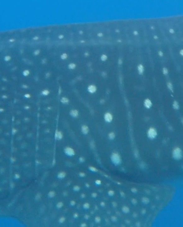 ea4003b1-f397-4e92-8276-4925a804e254