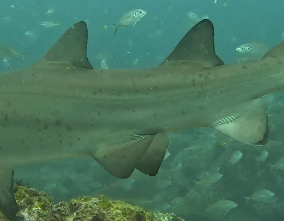 6a696e4f-63b3-4d44-9e20-3290896f08a7