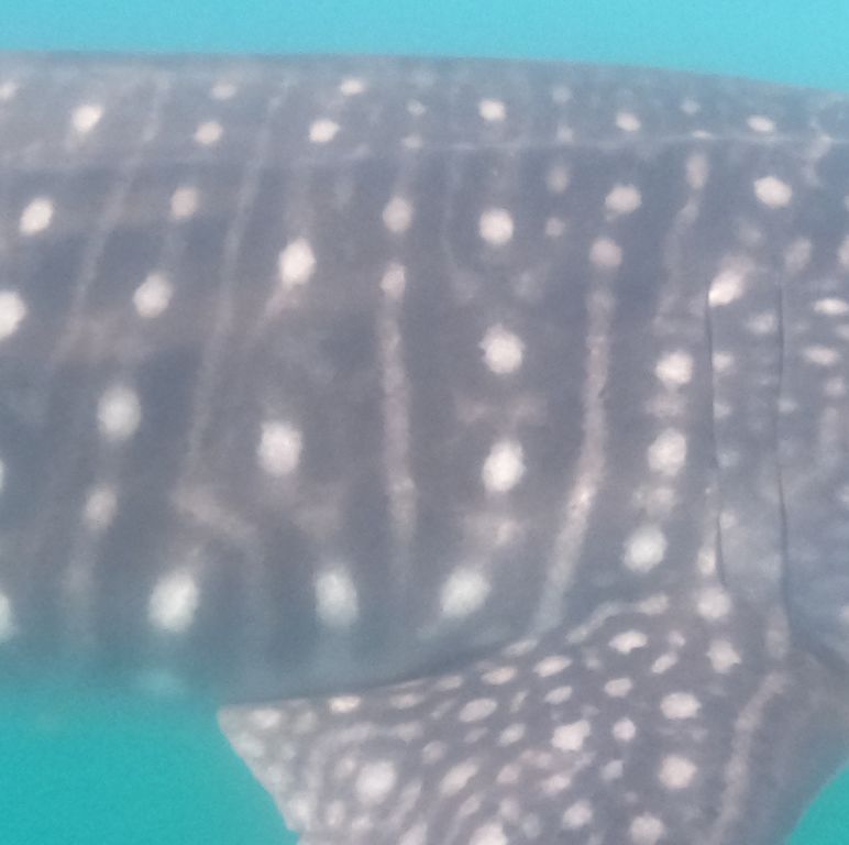 72ad7b8b-3e22-429d-a319-abc4d579accb