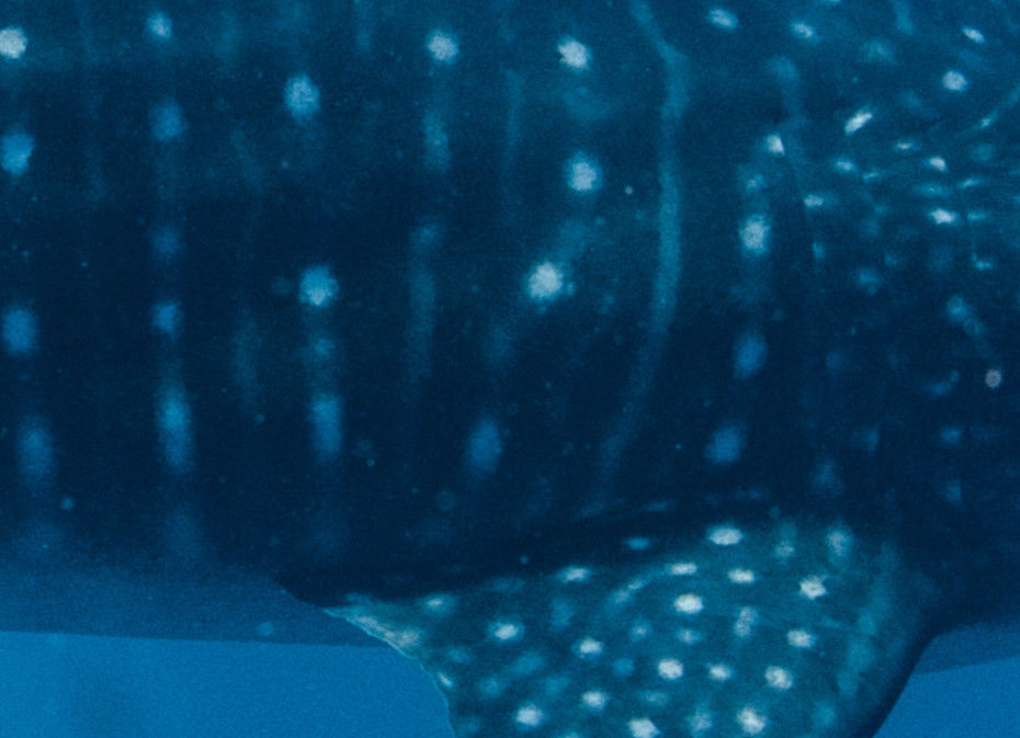 0638d35e-0448-4259-8d71-4ca4a15ea7a5