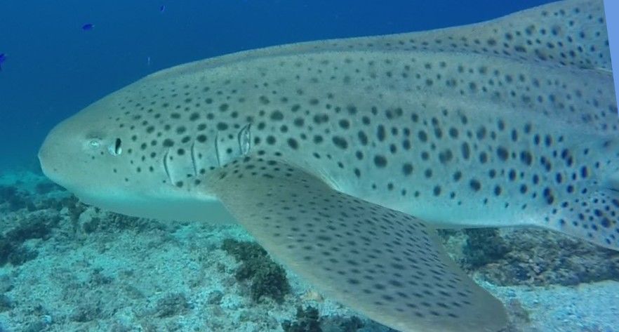 858cf93b-b670-4400-b442-523085d215f8