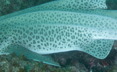 16a268de-b5ea-4dc1-96e8-4247635d0380