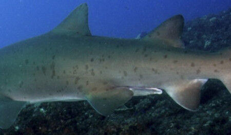 da520896-57e7-465f-b8ab-9145d82ecf35