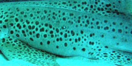 734ab117-4a63-4fe9-b87e-32f72312993e