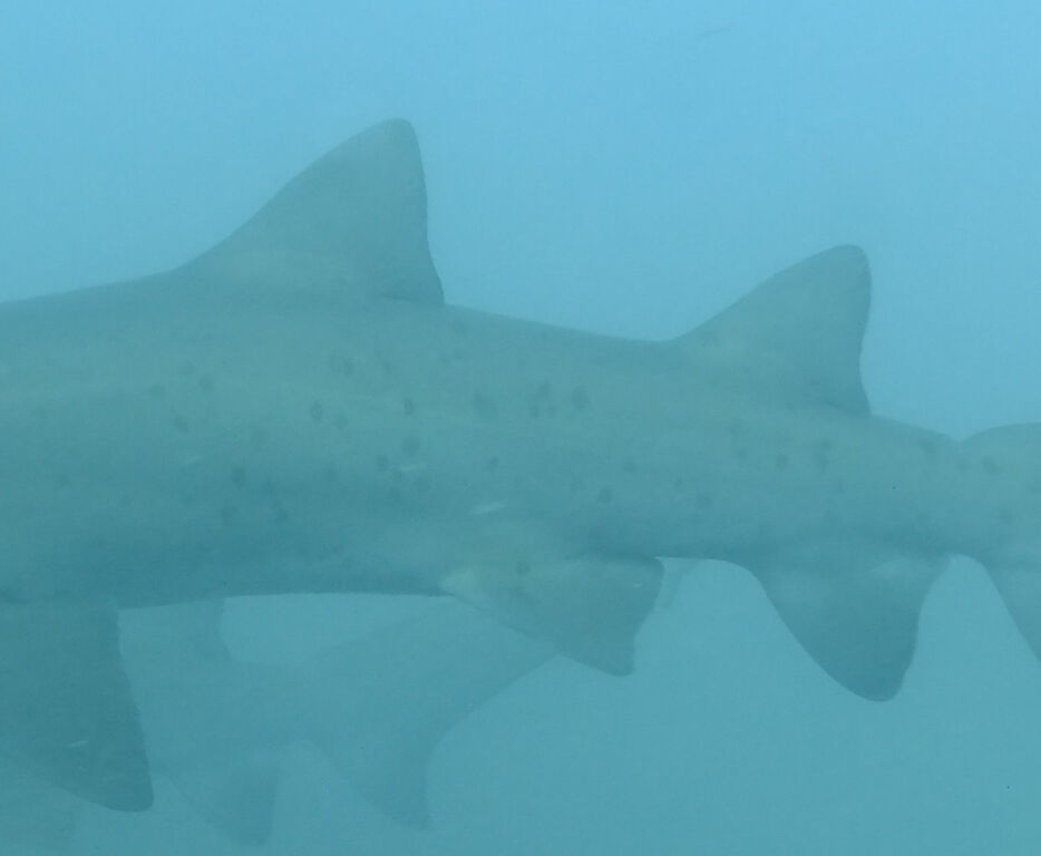 f4559adb-7ba8-4c9b-8296-ccbbb9b0fb27