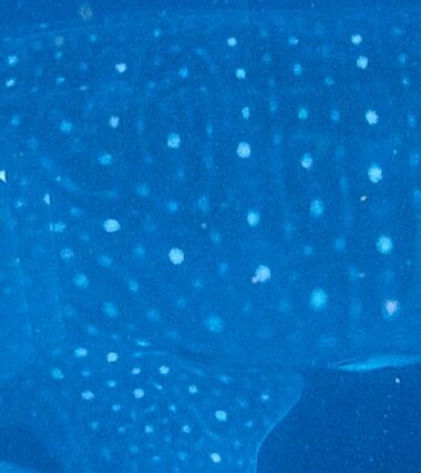 34fbb821-2f01-46ff-b3ad-17ddb5d1dced