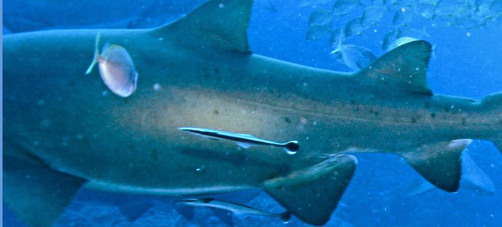 2f7b54fb-90bd-4067-9292-15c92aa31ae2