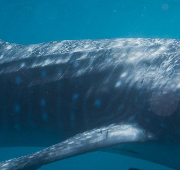 4a3654bf-48d5-409a-bda8-ee710640ce7a