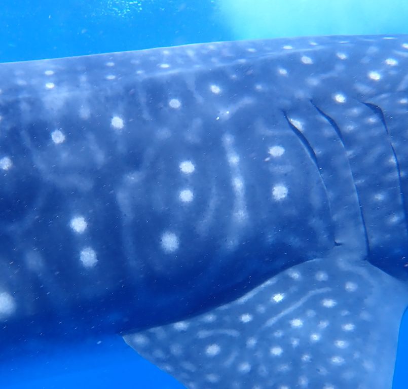 01a98e4a-084b-421e-b218-1f1e8b829adf