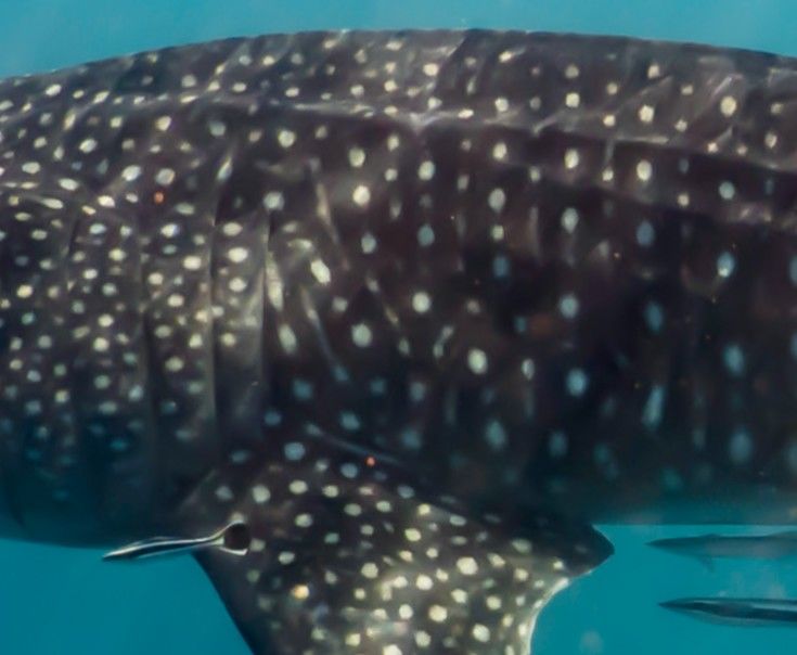 64b0d6bd-18e0-4b9b-a7a3-7b6ae0c8e4c6