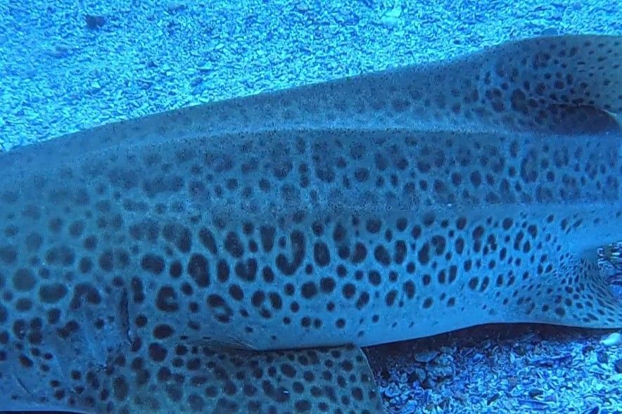 2545438b-3cc1-46a5-b122-d341f8eea9db