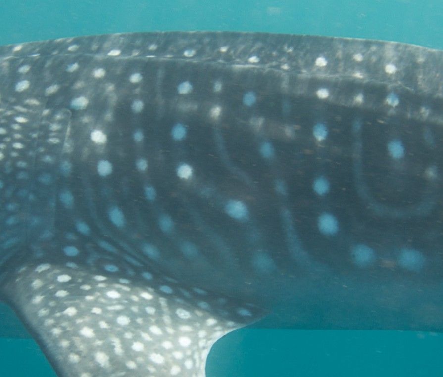 69956881-8e08-433a-b431-93c9fa6331be