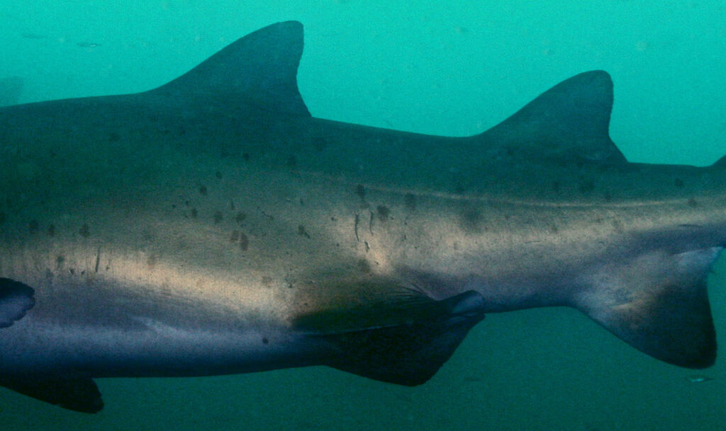 8db40d7e-0f33-4583-96e2-6a751291c238